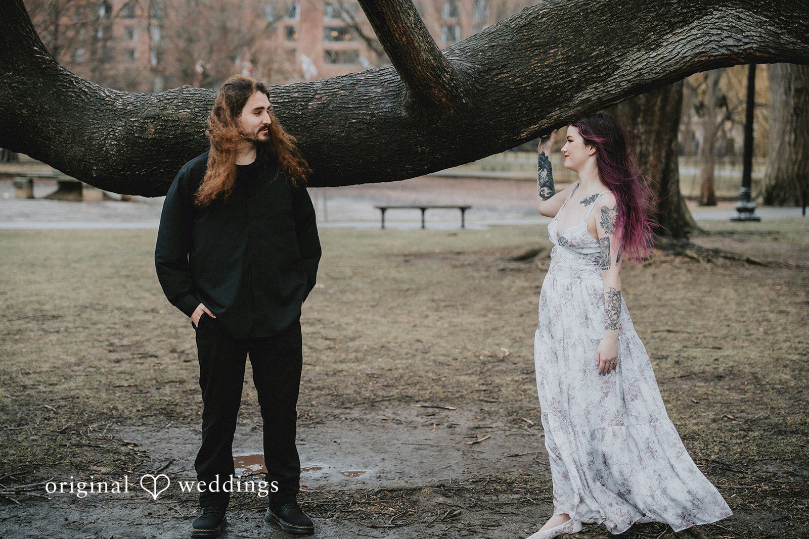 Beautiful picture of couple at Boston Public Garden
