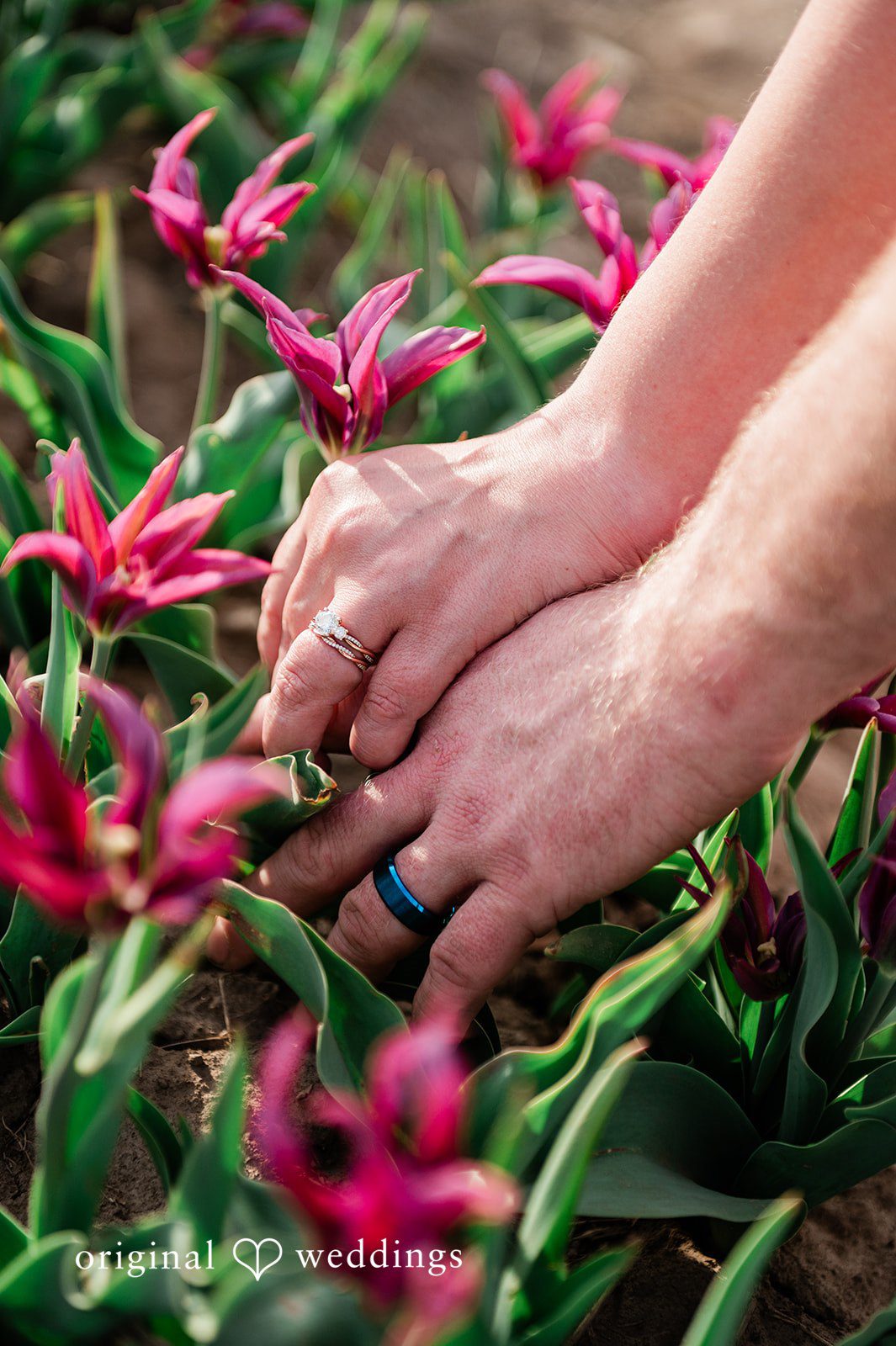 Suzanna + Morgan Close-up detail shot of engagement rings in soft natural light
