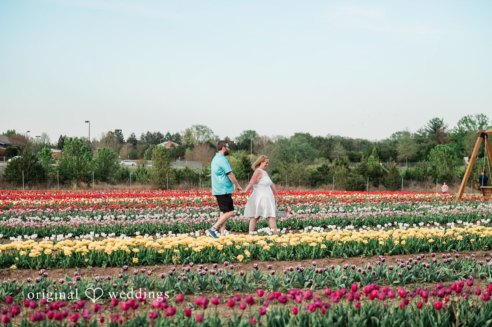 Suzanna + Morgan Suzanna & Morgan walking through vibrant tulip fields in a romantic moment