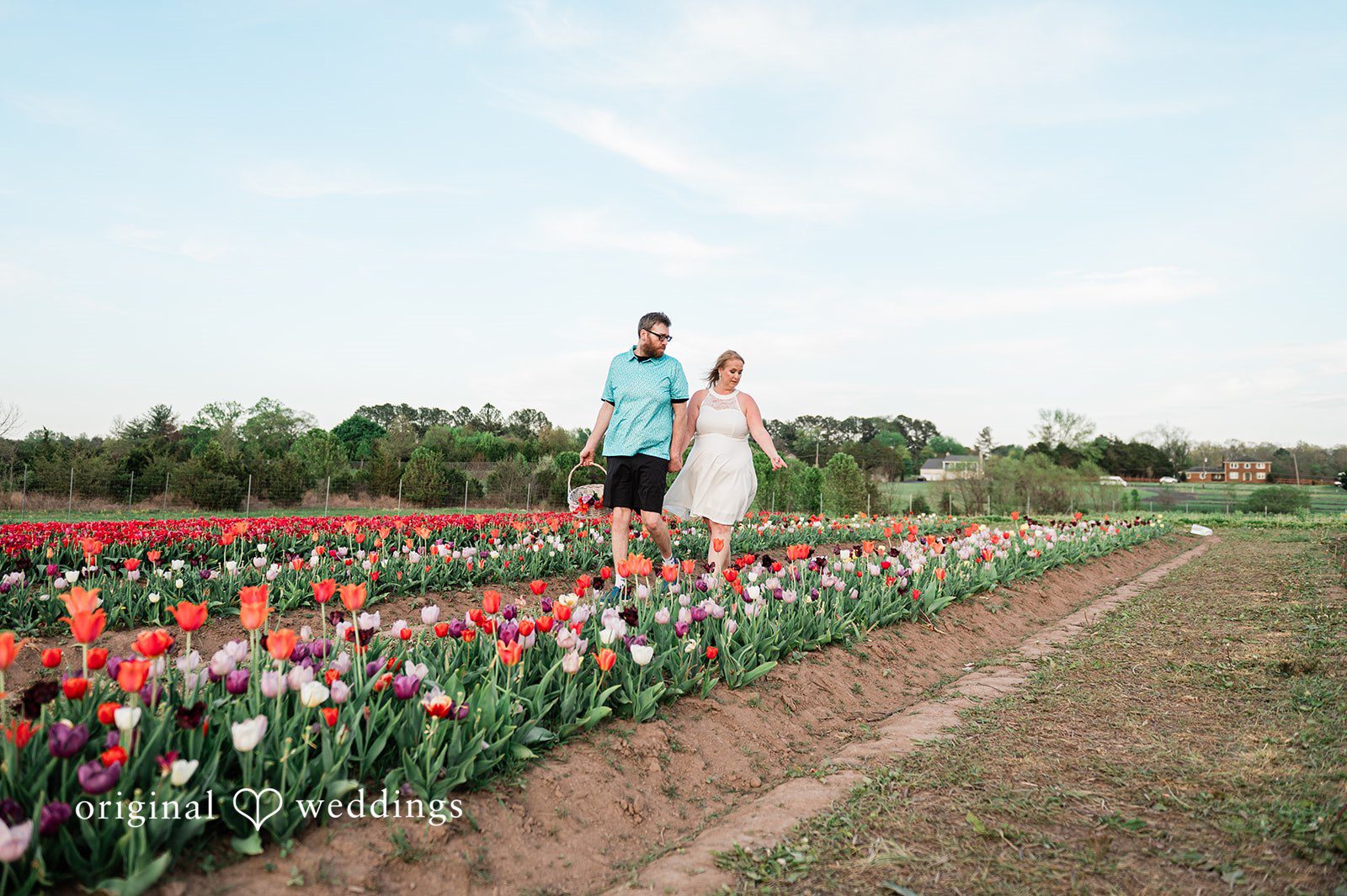 Suzanna + Morgan Couple joyfully picking flowers together during their engagement session