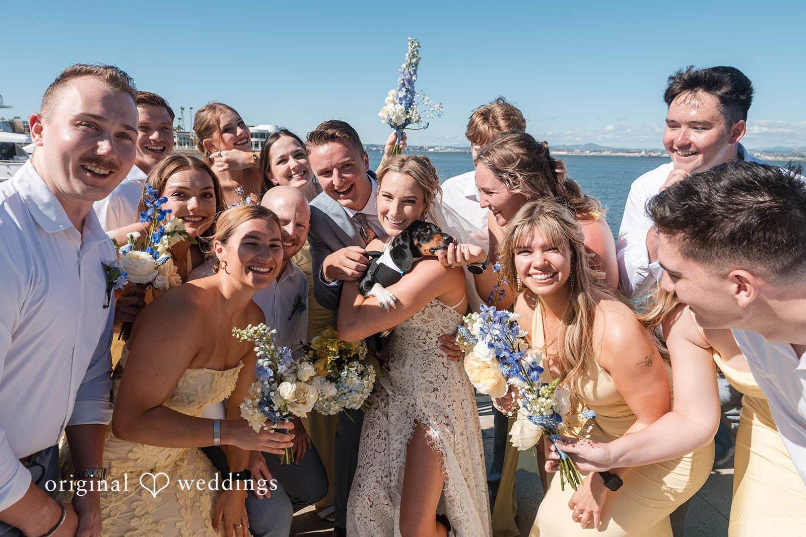Joyful wedding party group photo with dog