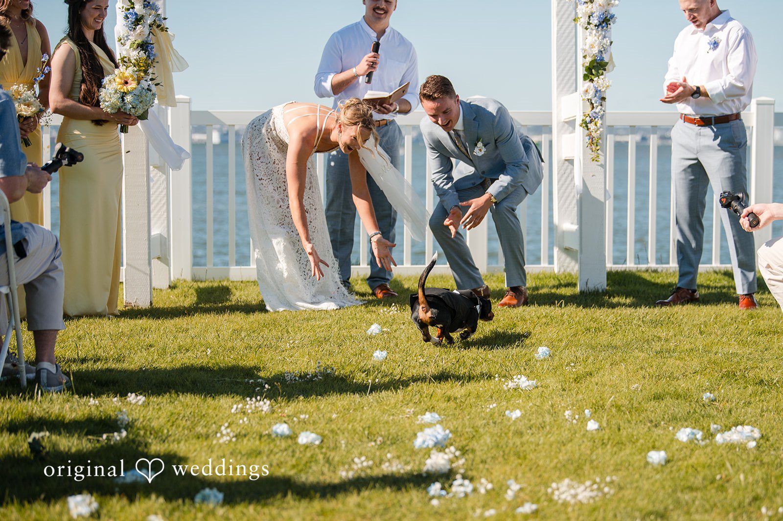 Cute dog ring bearer running during ceremony at Colorado Cays Yacht Club