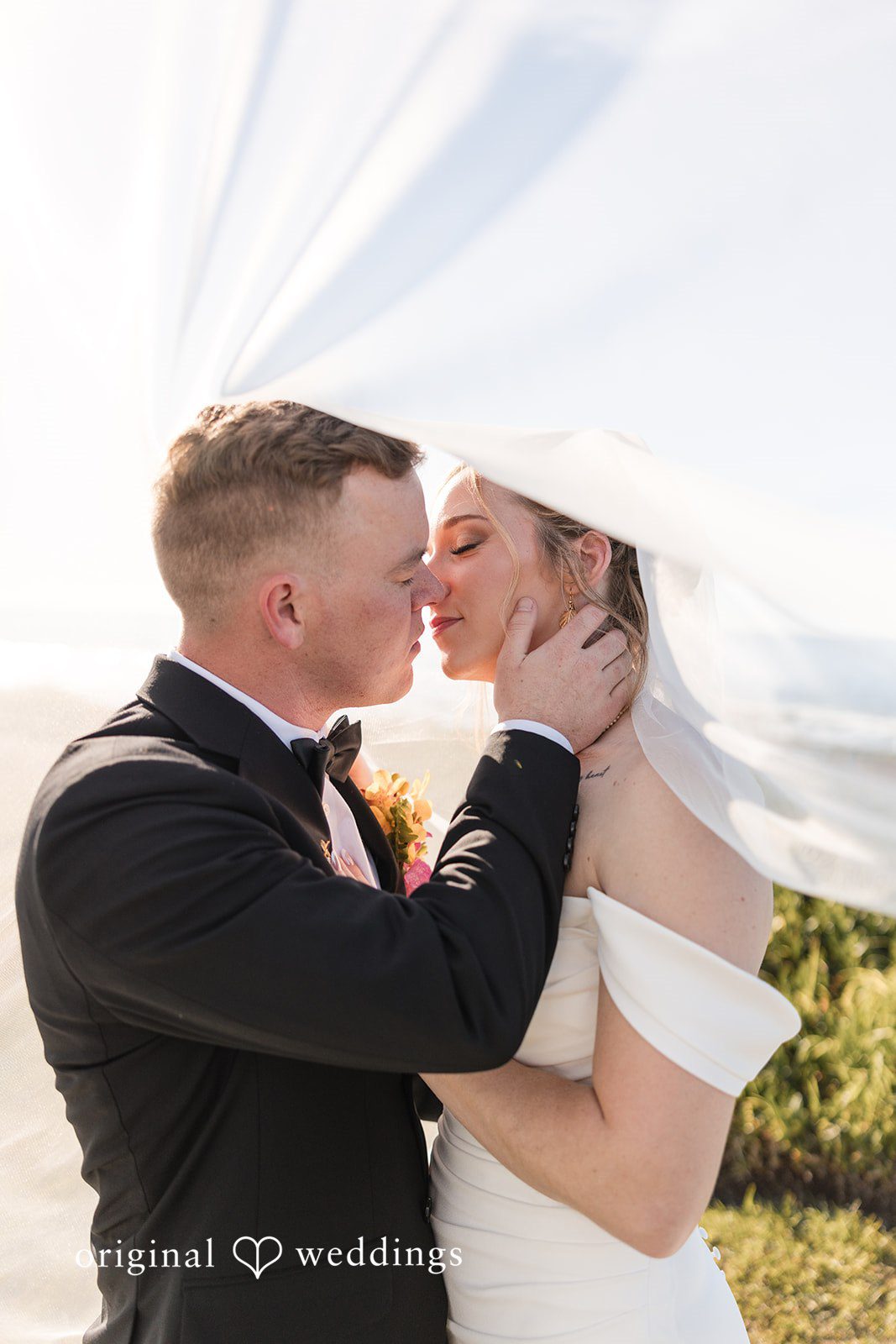 Groom kissing the bride under a wedding veil.