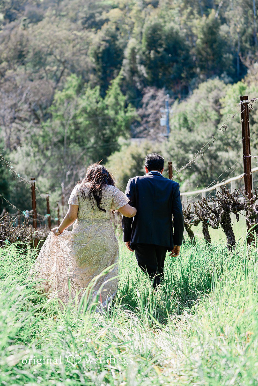 Couple walking through the green area captured from behind