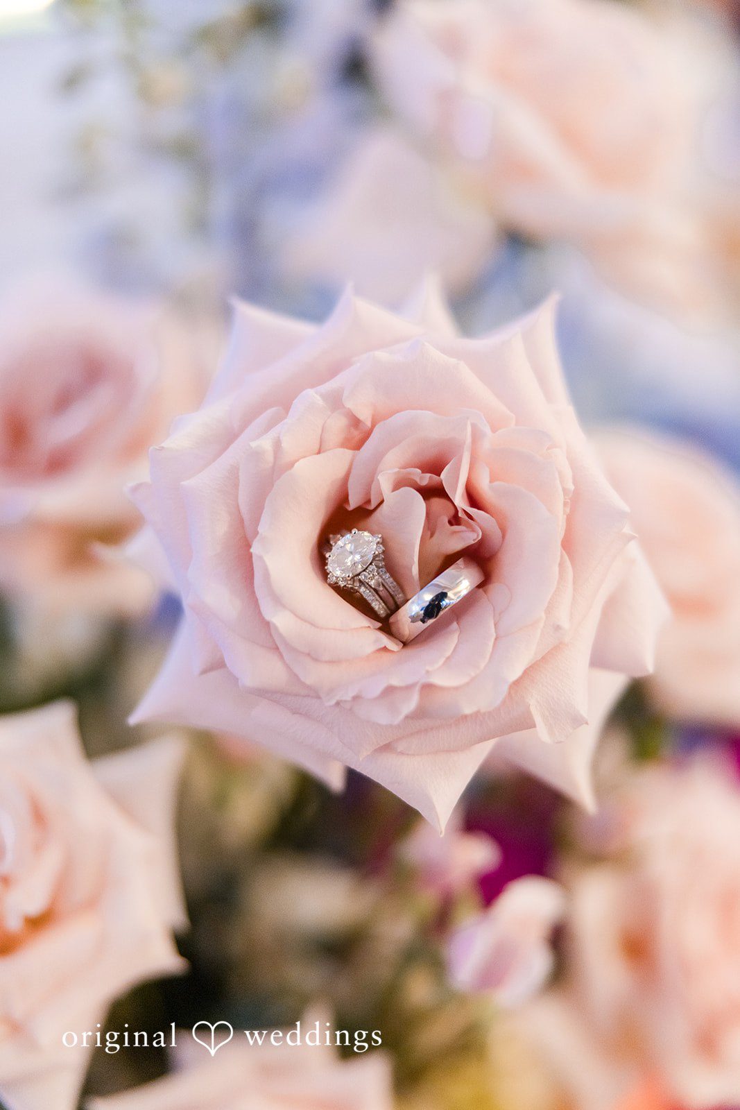 Vanessa + Bryant A detail shot of the wedding bouquet and rings