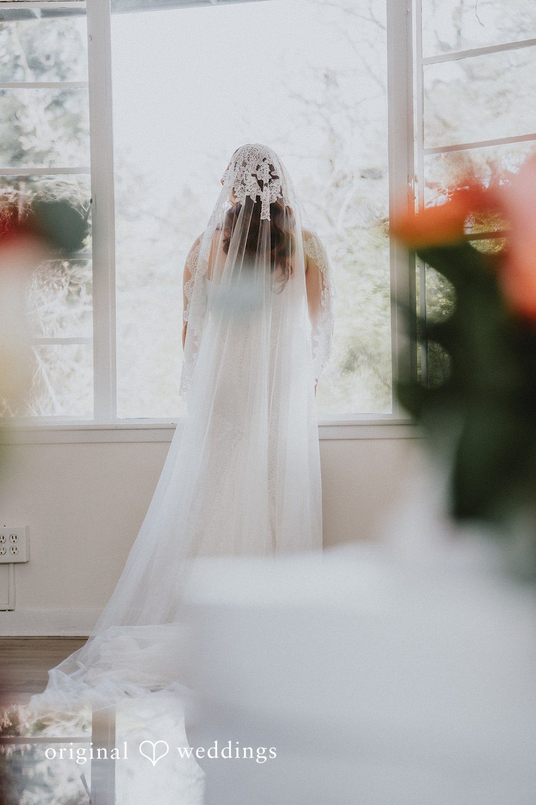 Classical picture of bride from backside