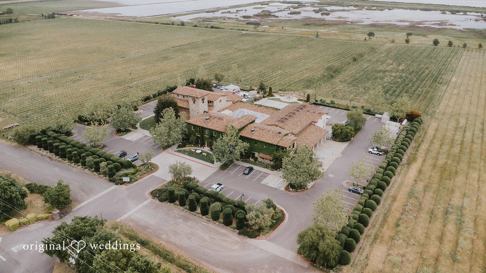 Chandrakant + Sumbul Drone view of Jacuzzi Family Vineyards during the wedding celebration