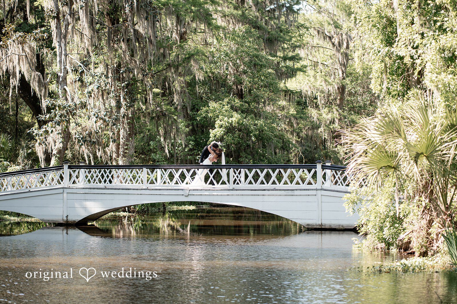 A romantic portrait of the couple on the dock