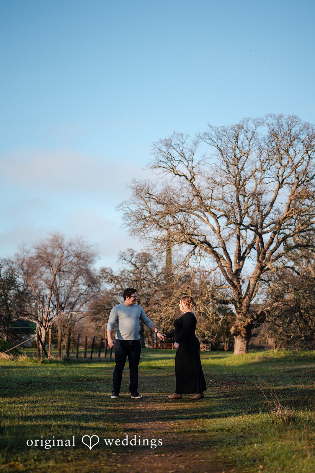 Ellie + Aaron A portrait of the couple that exposes the beauty of the park