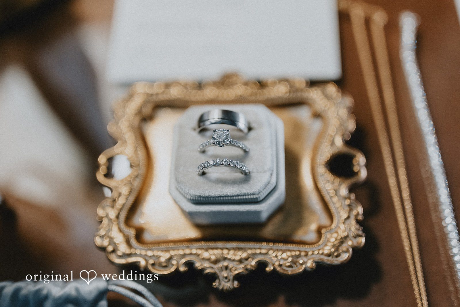 Brooklynn + Adam Romantic close-up of bride and groom wedding rings