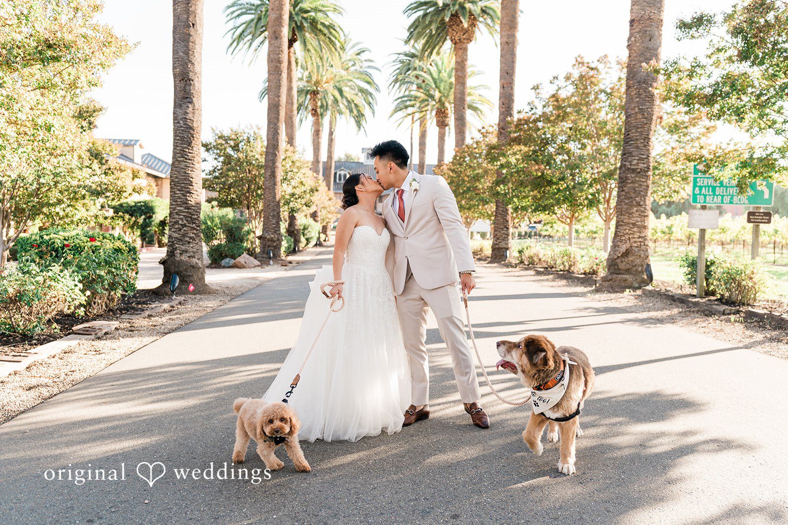 Charize Giann + Mark Shou Bride and groom kissing moment with their dogs along the palm tree pathway at Palm Event Center