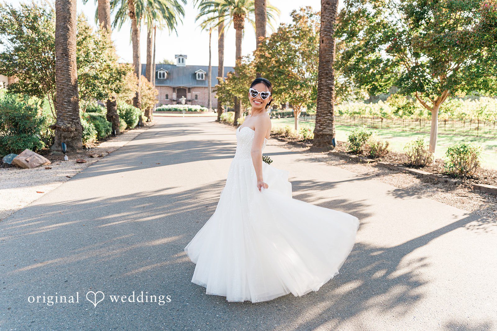 Charize Giann + Mark Shou Beautiful bridal portrait at Palm Event Center