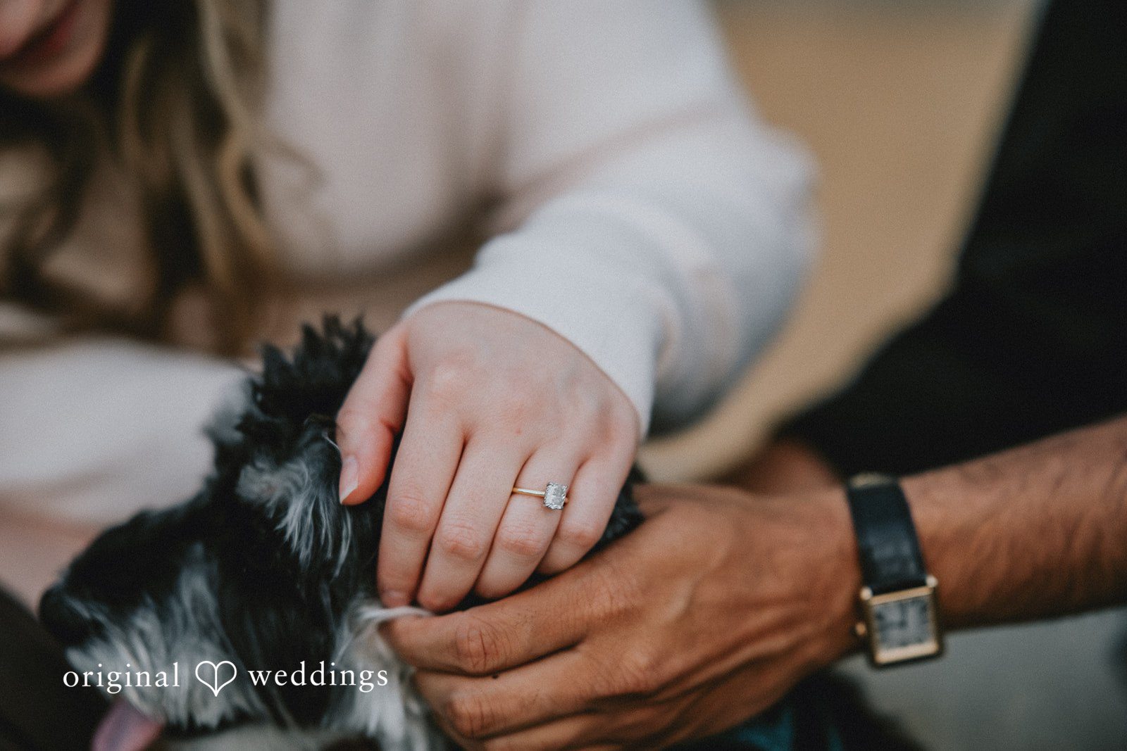 Engagement photography services at Prospect Park by original weddings capturing the detailed picture of engagement ring