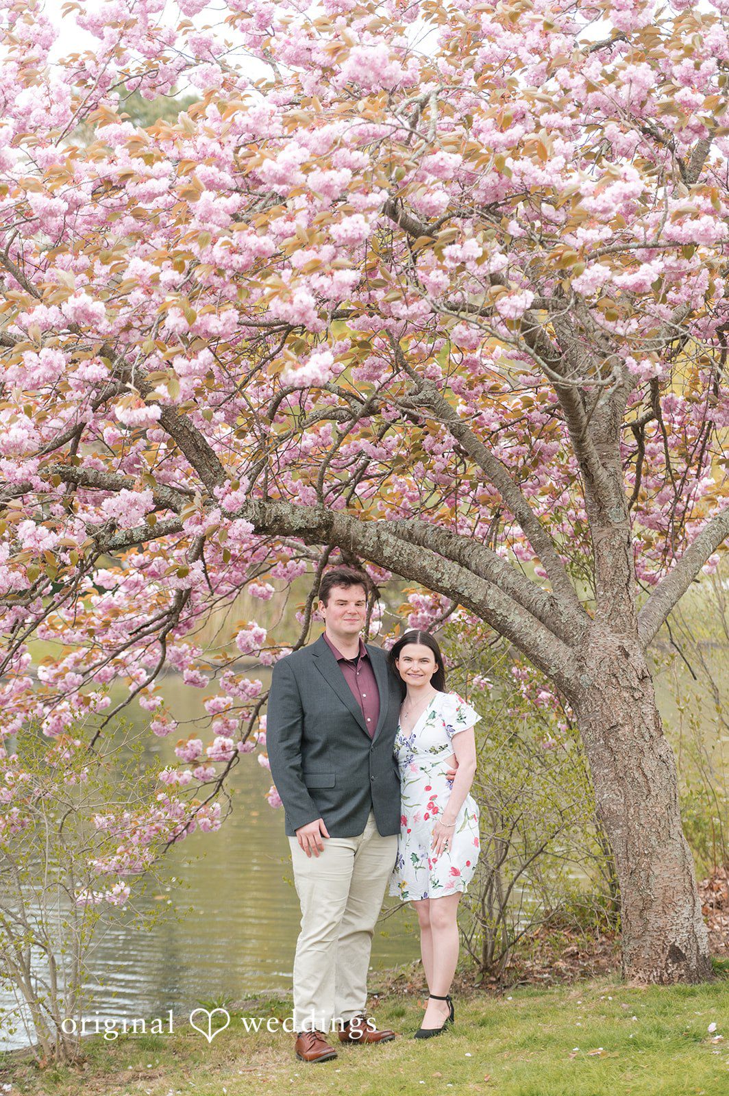 Soft scenic couple portrait at Roger Williams Park