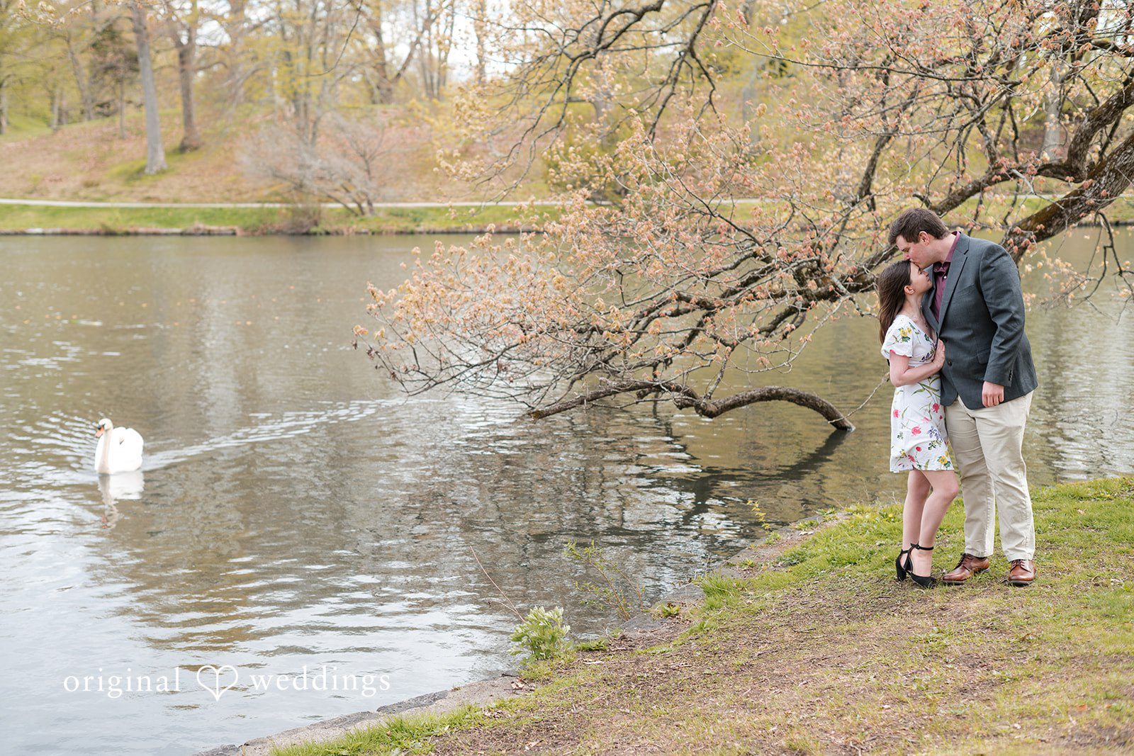 Romantic kiss between couple at Roger Williams Park