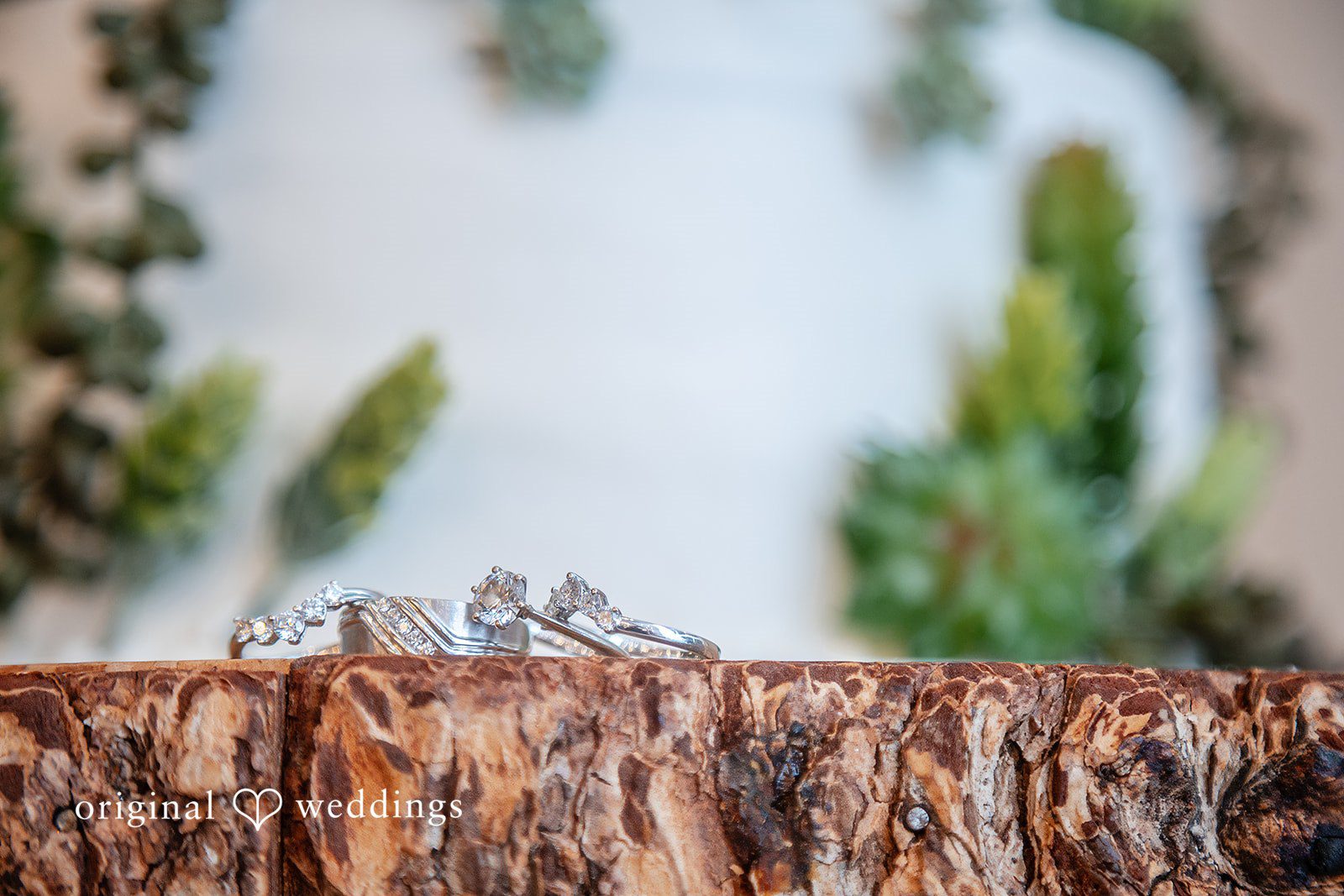 Detailed shot of wedding rings