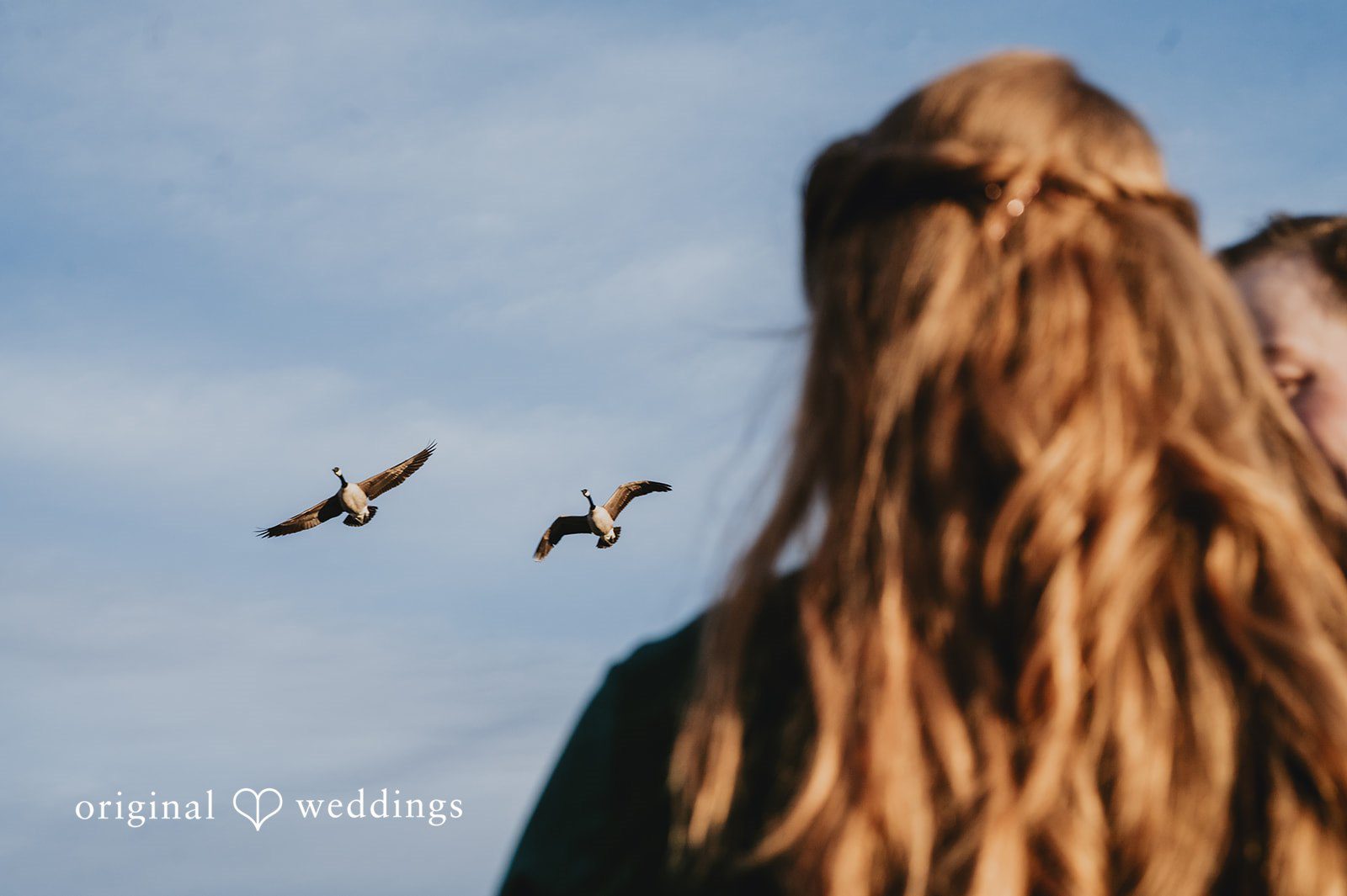 Beautiful birds captured at Stone House engagement photography session