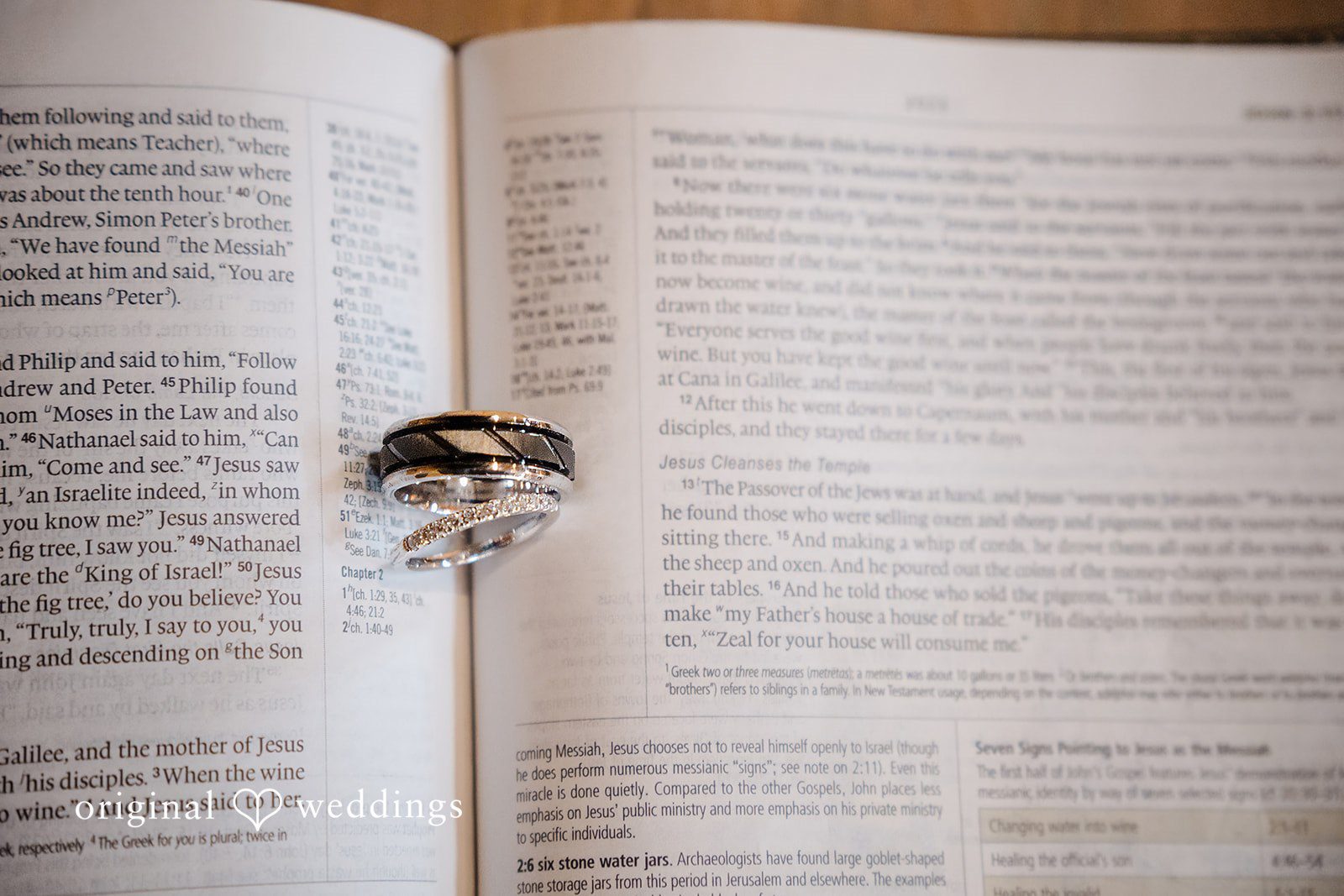 Katrena + Ryan Close-up of the couple’s wedding rings