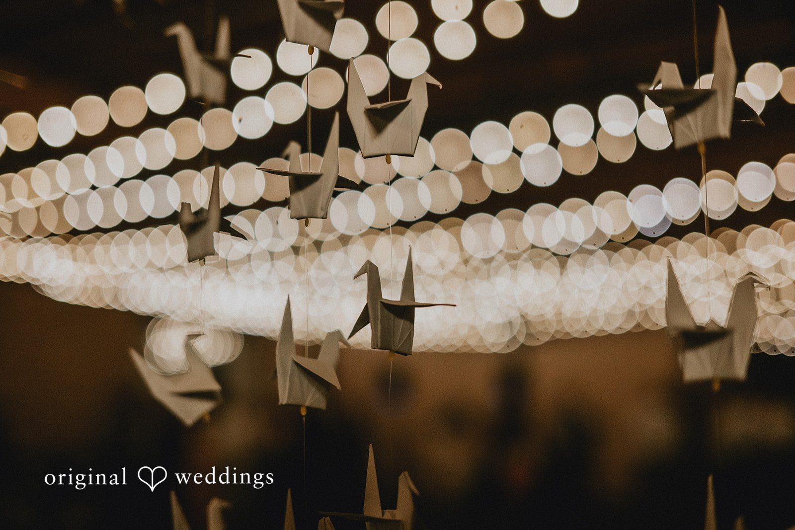 a detail shot of the string lights