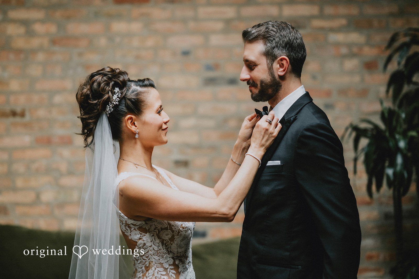 A romantic portrait of the couple