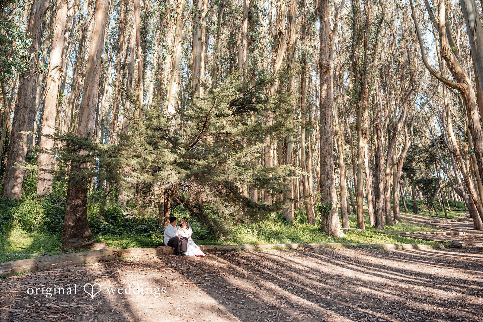 San Francisco Engagement Photography by Original Weddings capturing a peaceful couple moment at The Presidio