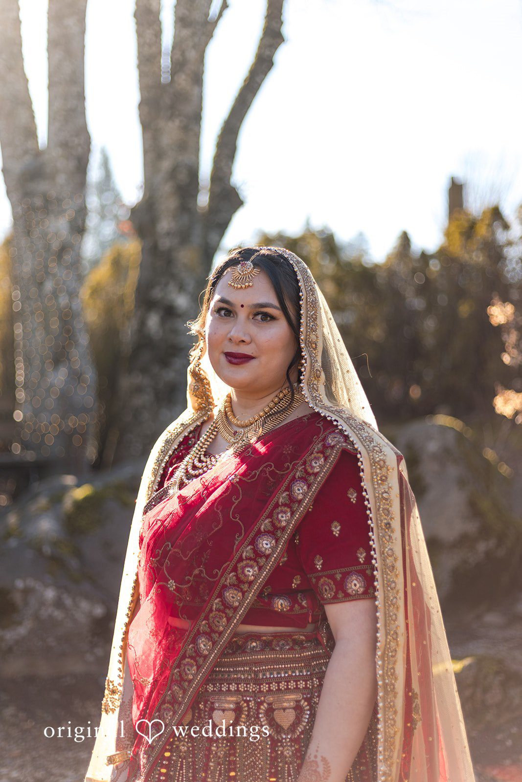 Taylor + Yash Stunning portrait of bride at The Troutdale House