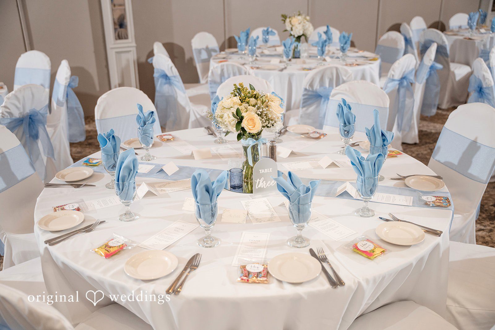 Mallory + Nicholas Detroit Wedding Photographers at Zuccaro’s | Mallory & Nicholas -