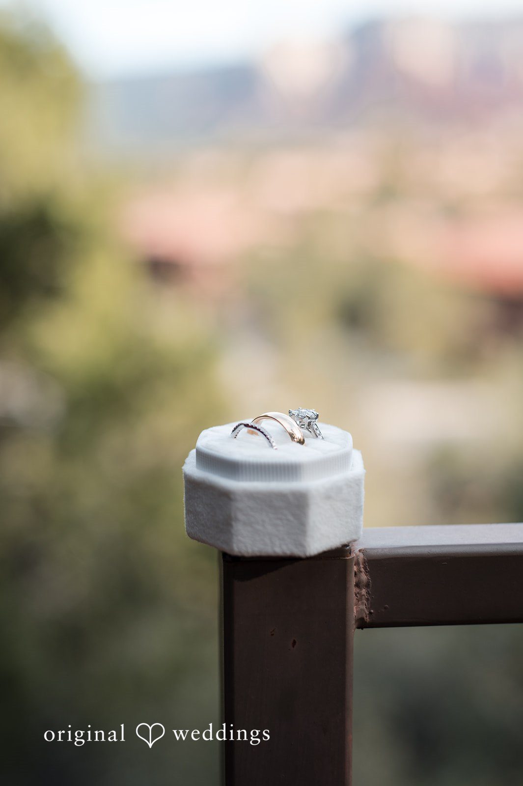 Elegant close-up of wedding rings at Agave of Sedona