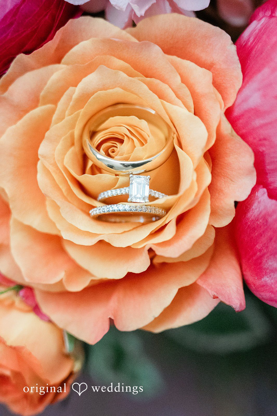 Close up shot of wedding rings placed on a flower