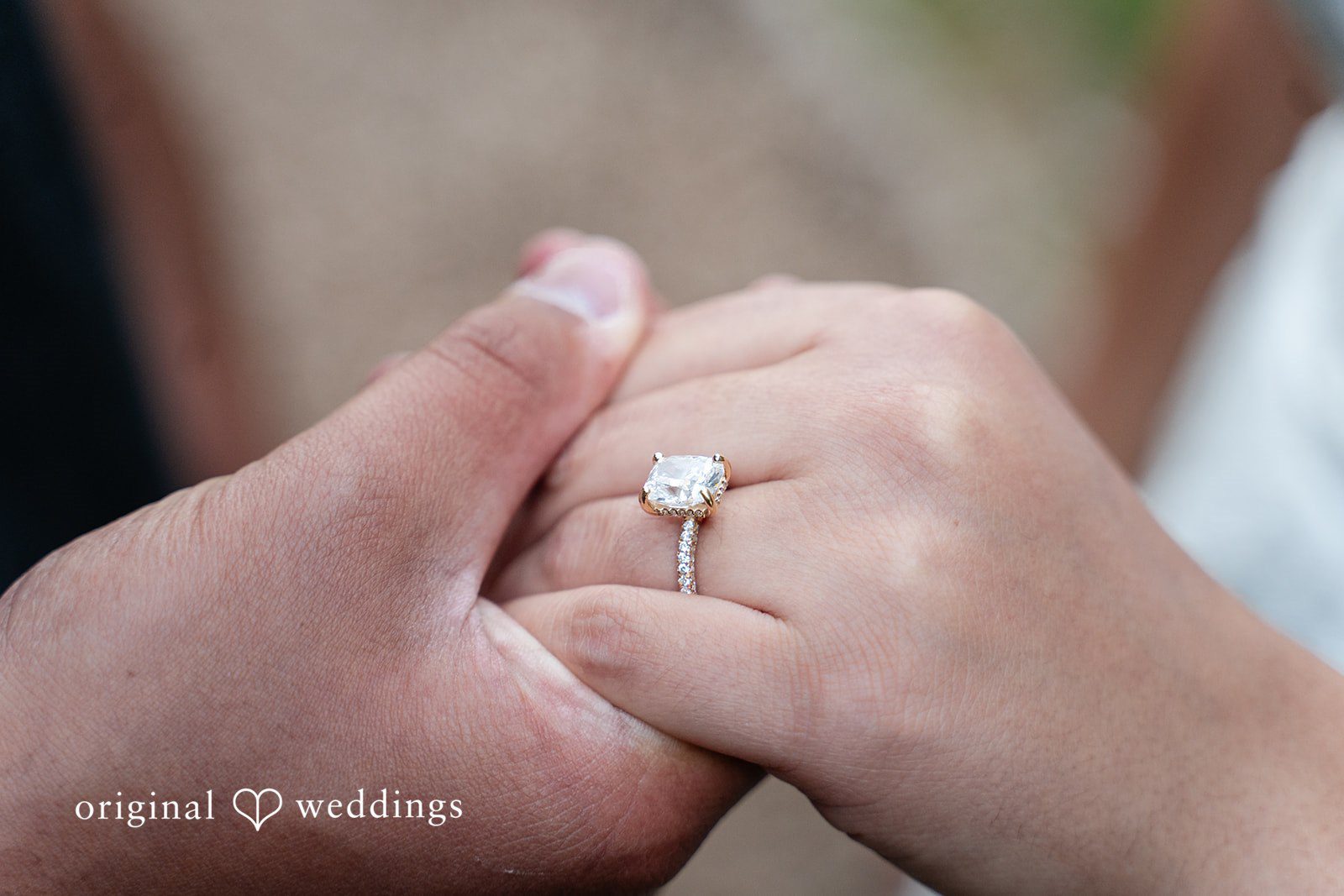 Anya + Max A close-up of the engagement ring as the couple holds hands during their romantic session at Arnold Arboretum.