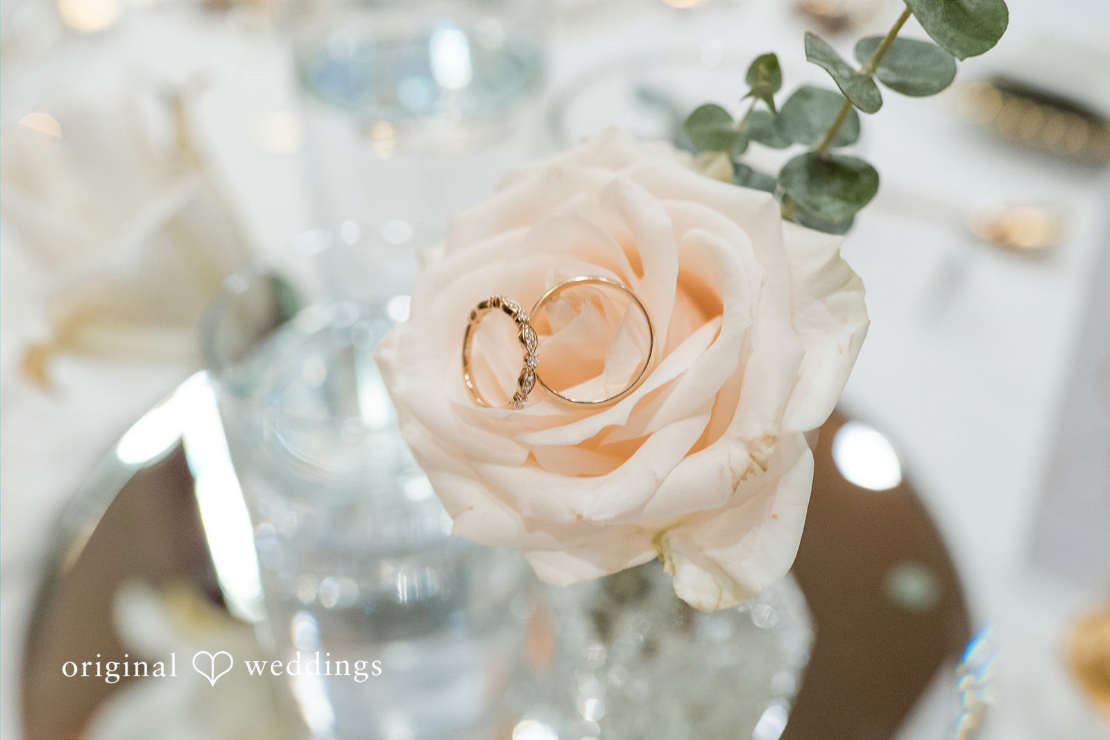 Sydney + Ty Wedding rings displayed on a floral arrangement detail