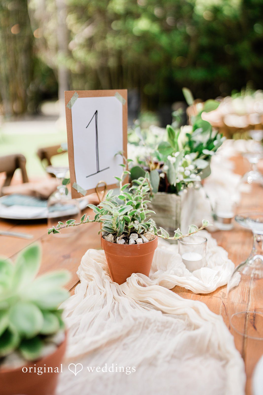 Mae + Nicholas Table centerpiece with succulent décor and table number display.