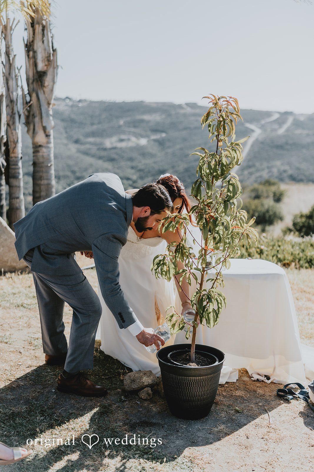 Beautiful couple watering the plant together