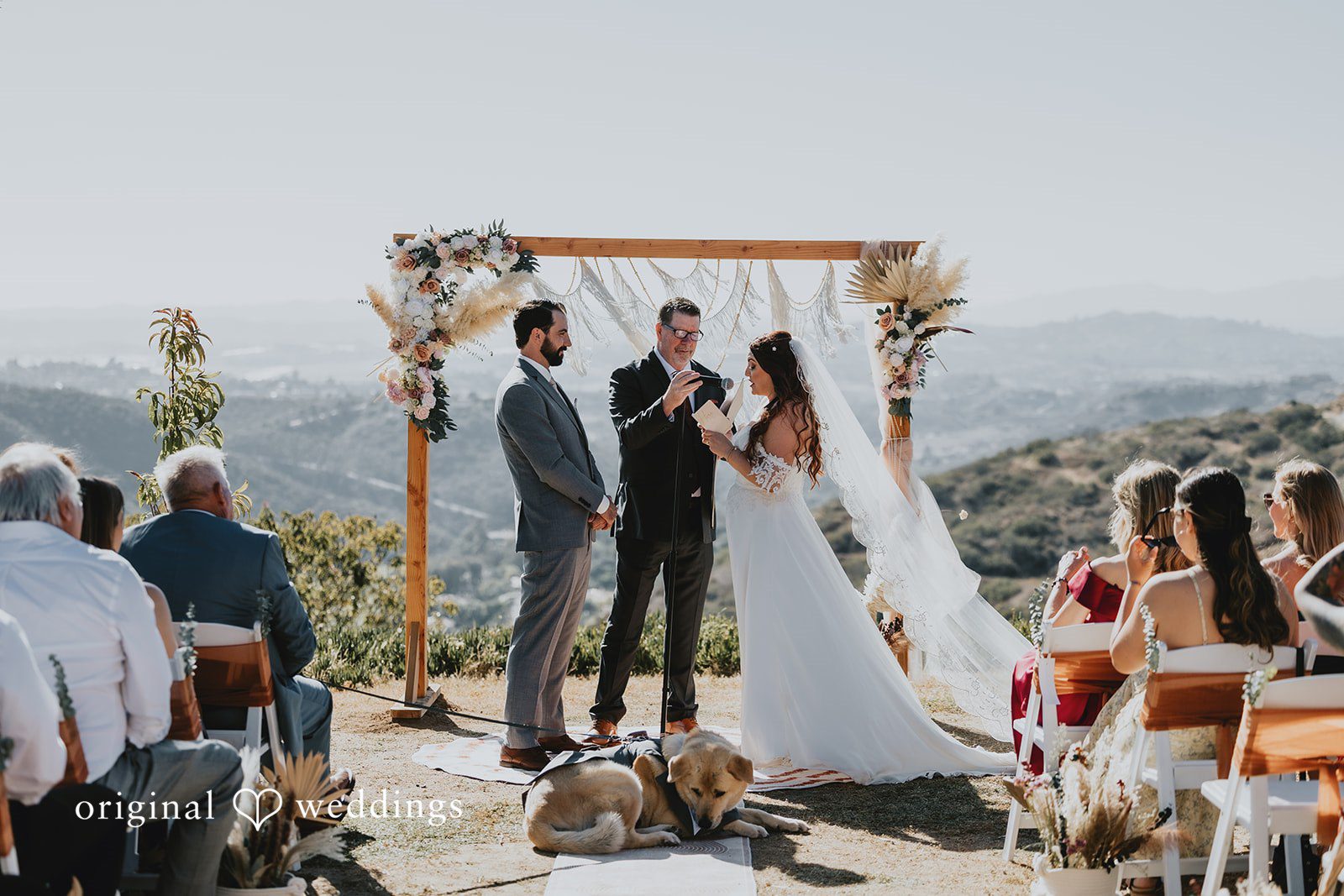 Lovely couple exchanging vows during wedding ceremony