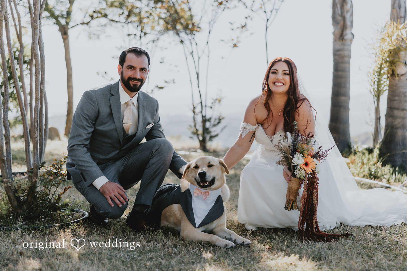 Beautiful picture of bride and groom with a pet dog