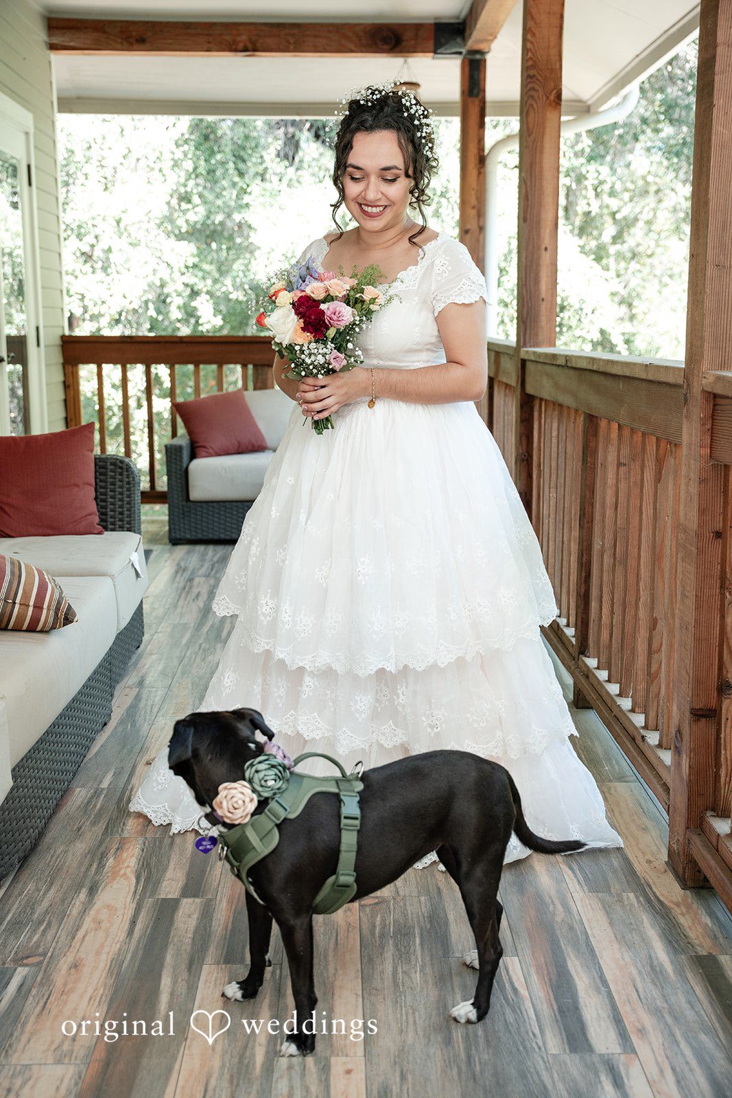 Keely + Sam Beautiful picture of bride with the pet dog