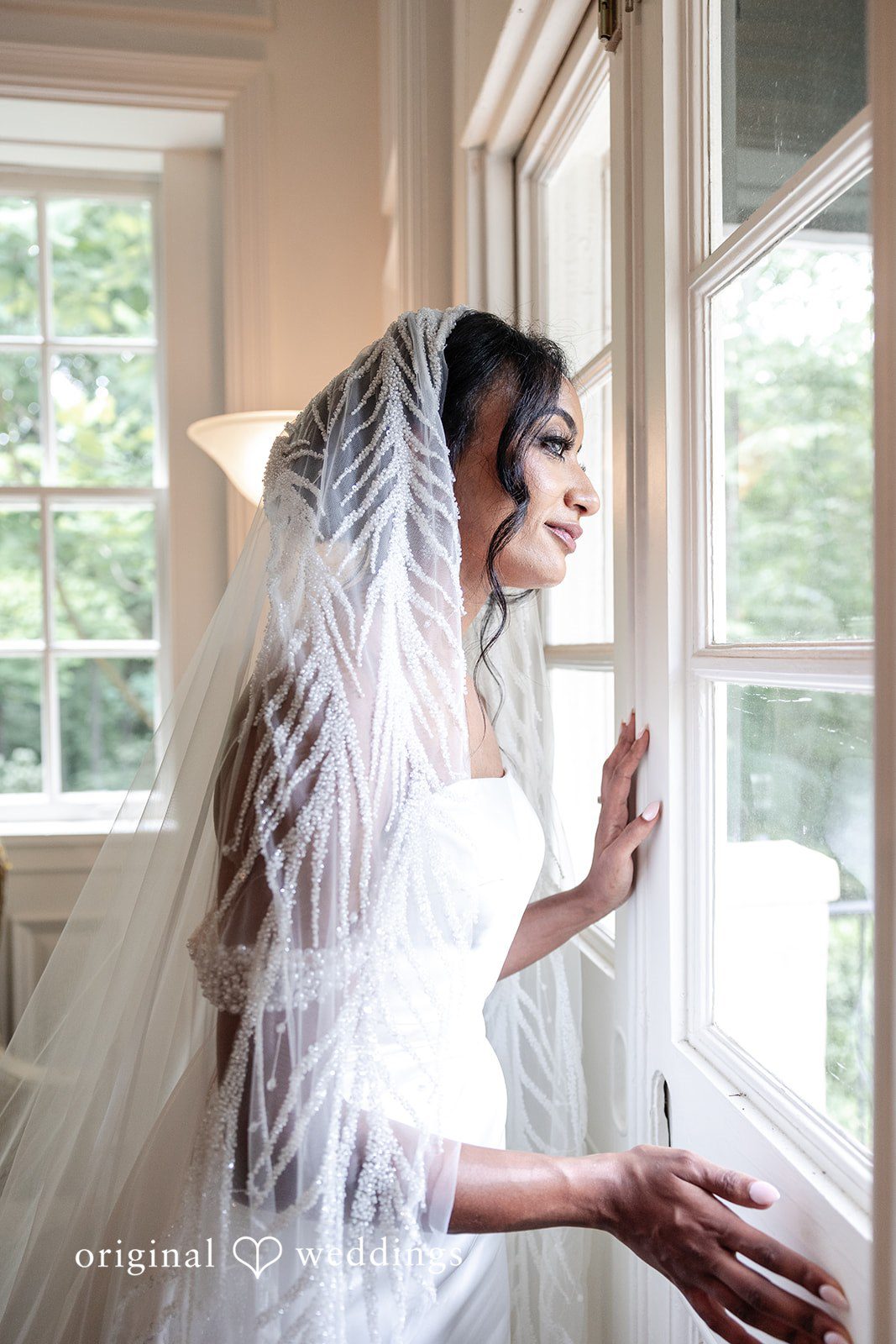Close-up bridal photo highlighting detailed veil and classic white wedding dress.