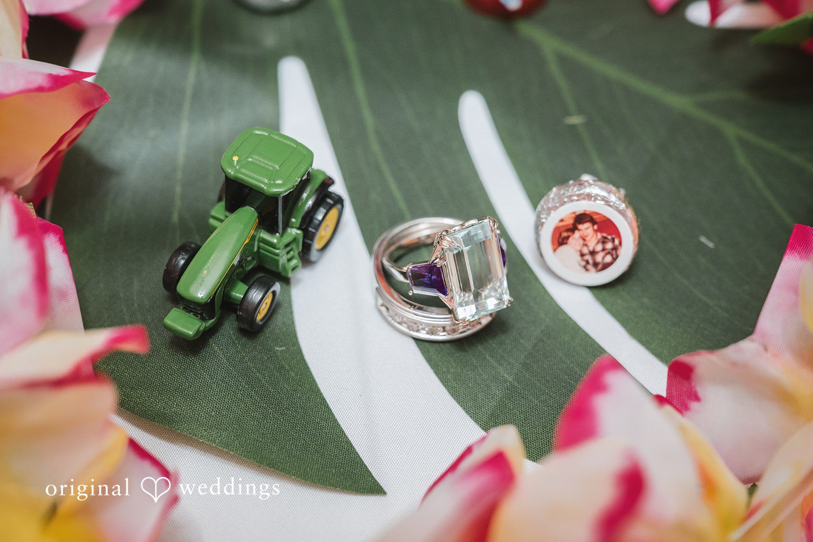 Close-up detail of the couple’s wedding rings