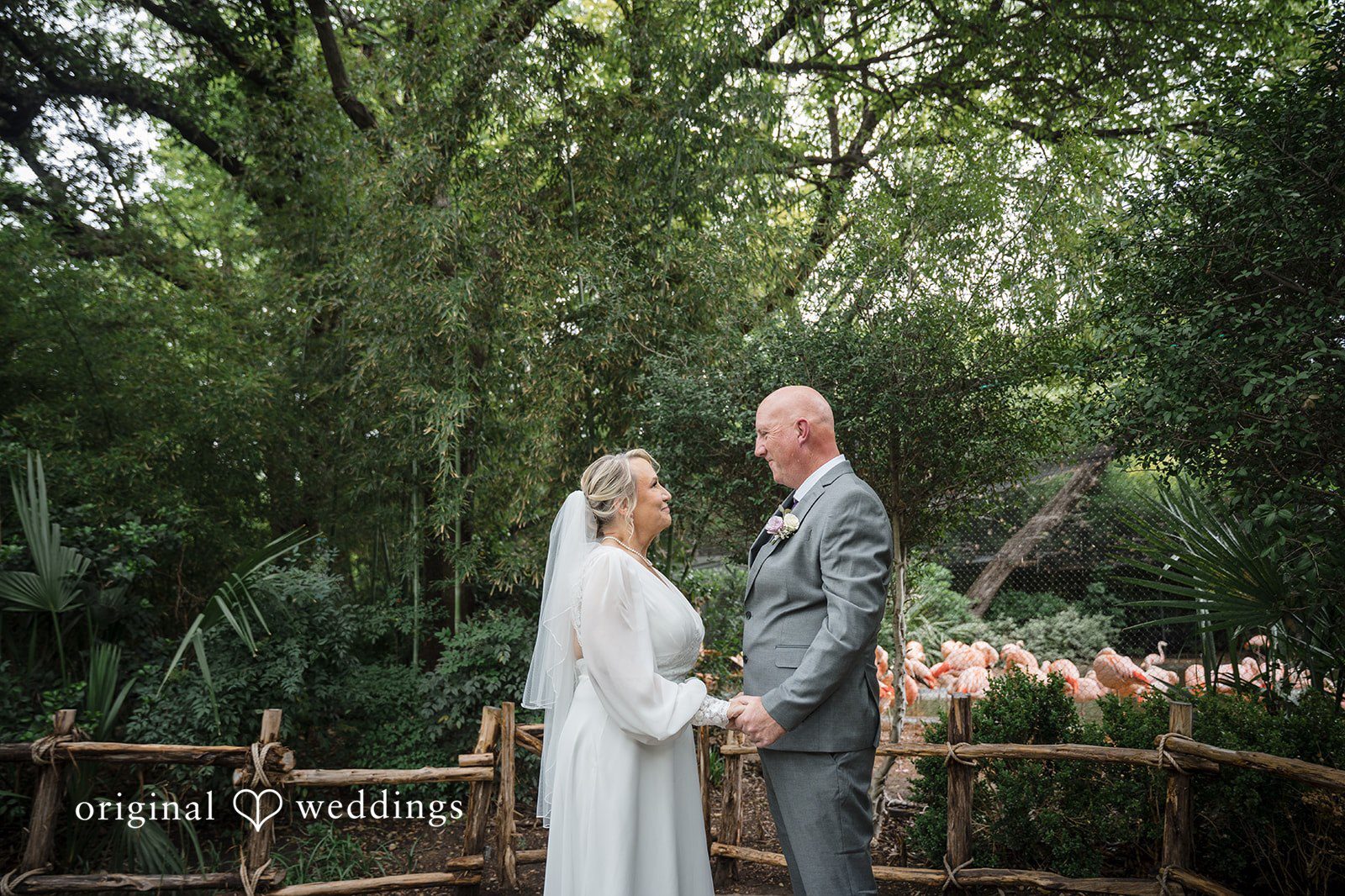 Dallas Wedding Photographers at Fort Worth Zoo capturing Lorene and Brad’s wedding day by Original Weddings