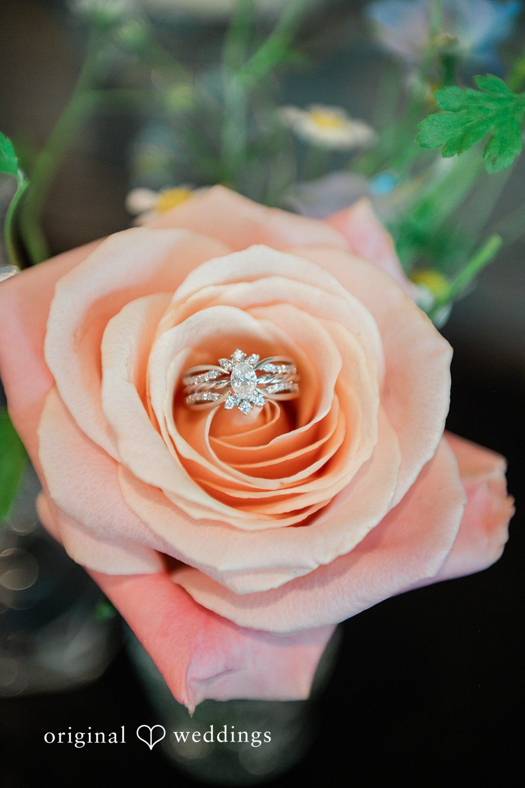 Janissa + Josh Shot of wedding ring placed on a flower