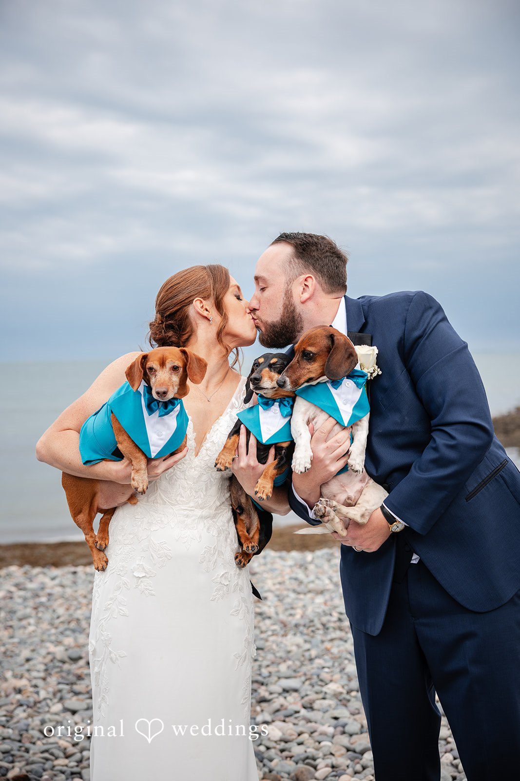 Bride and groom kissing while holding their dog along the shoreline