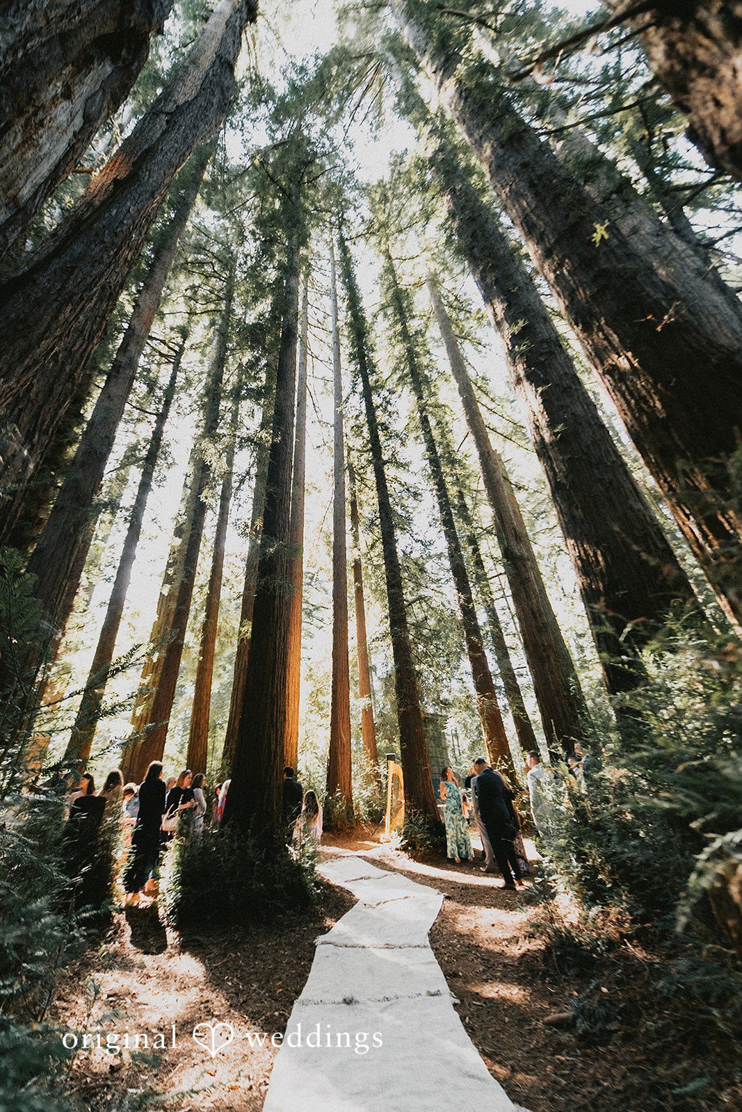 Roaring Camp Wedding // Kayli & Russell -