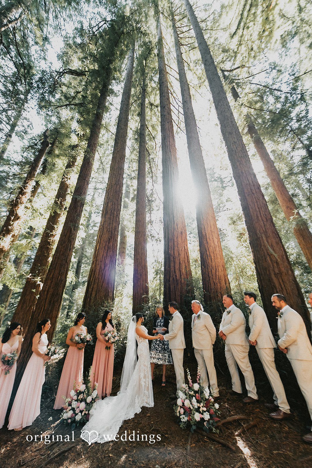 Roaring Camp Wedding // Kayli & Russell -