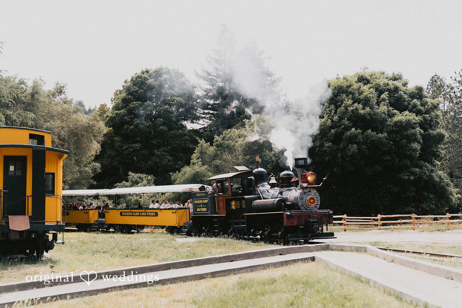 Roaring Camp Wedding // Kayli & Russell -