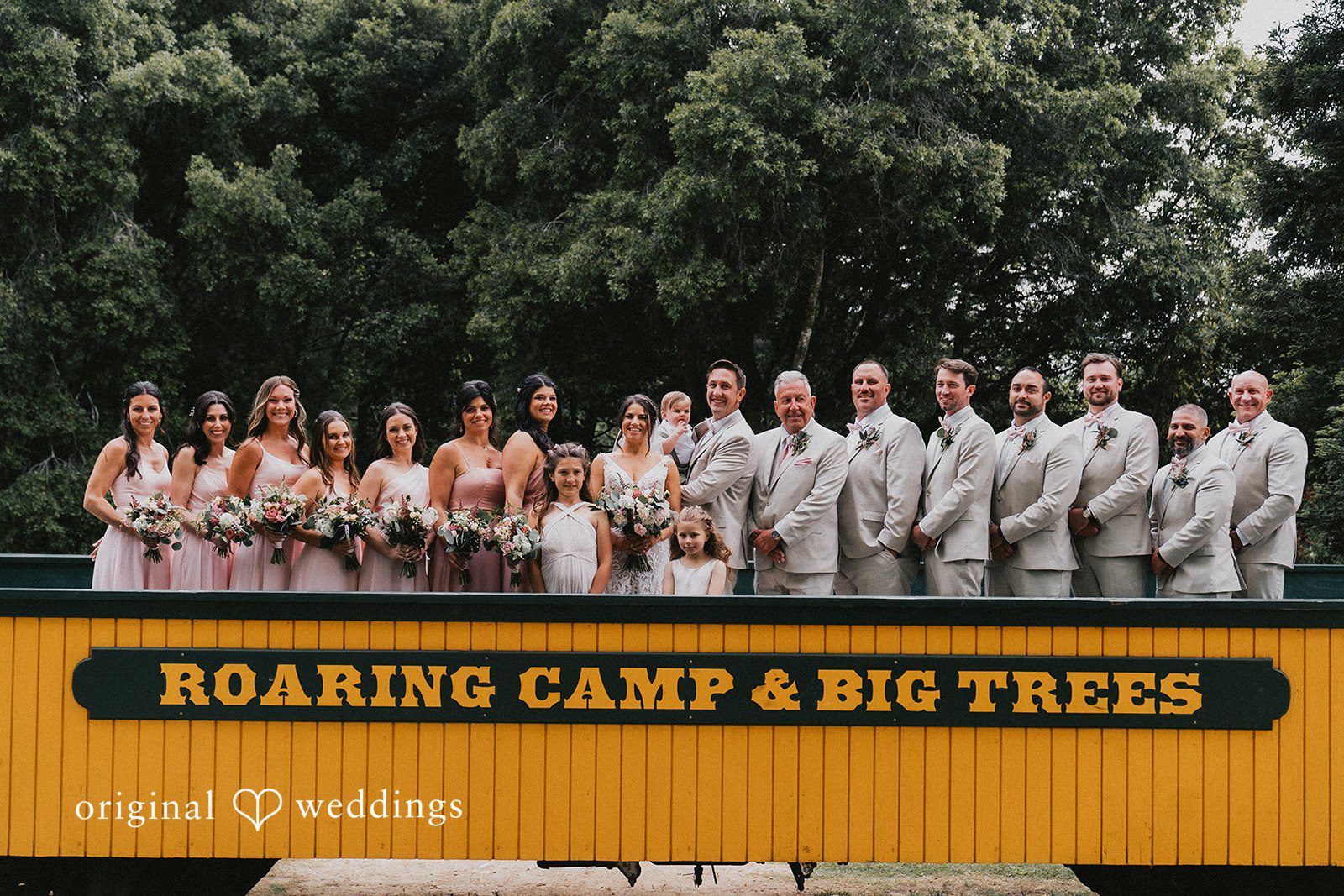 Roaring Camp Wedding // Kayli & Russell -