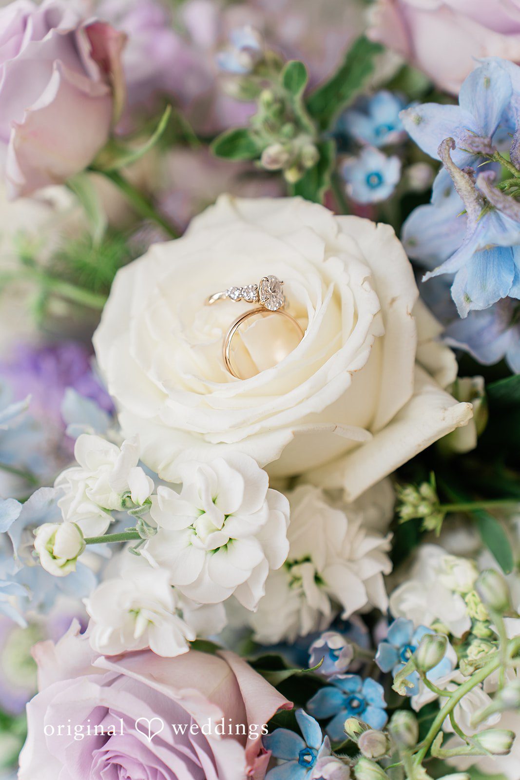 A stylish portrait of the bouquet and rings