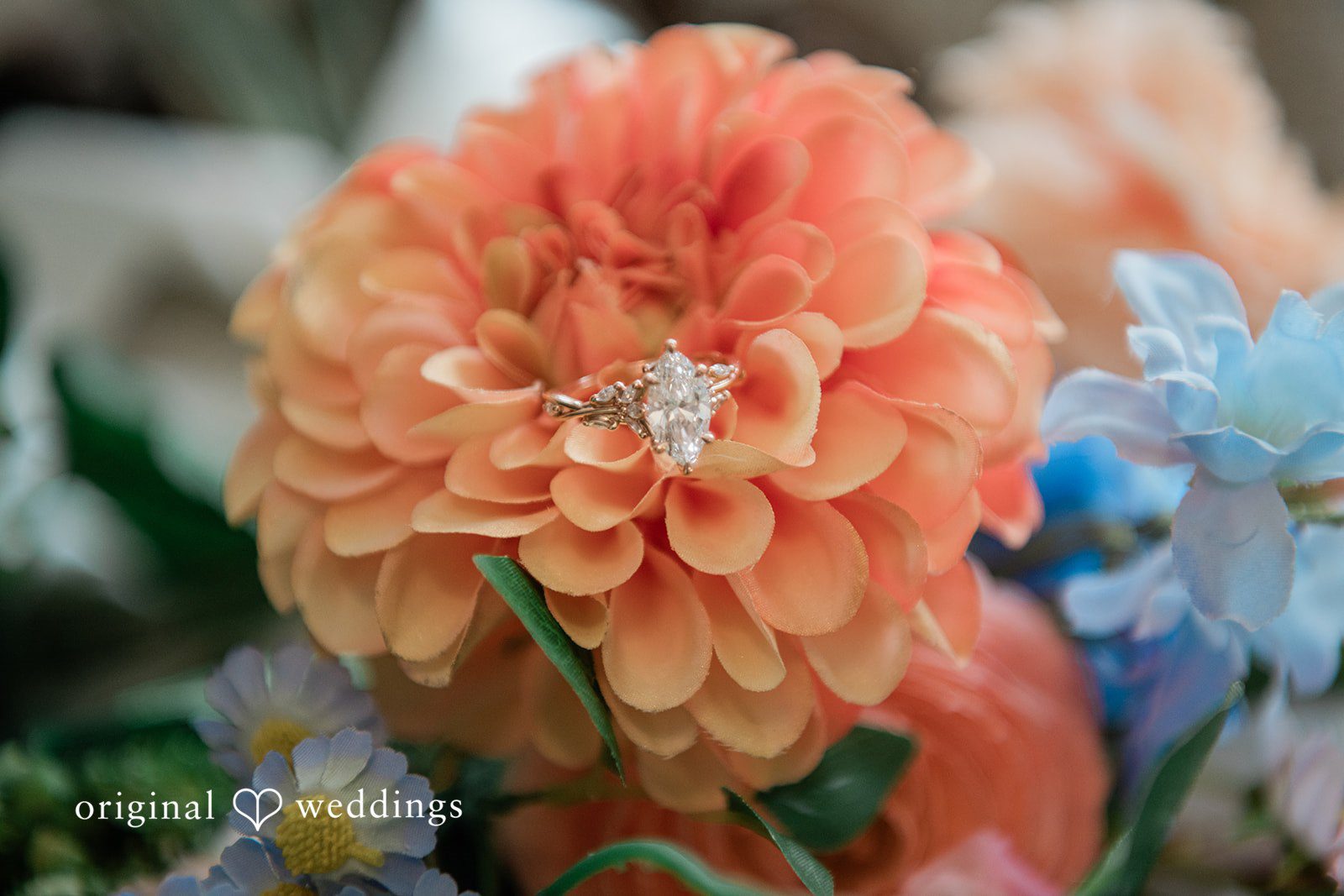 Brittney + Benjamin A close-up shot of a large orange dahlia flower with a ring inside.