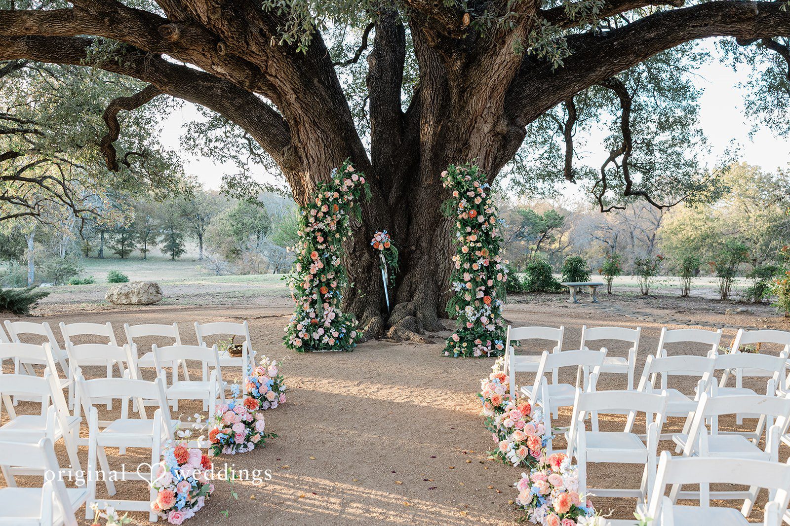 Brittney + Benjamin White chairs arranged for a wedding ceremony beneath a large, old tree.