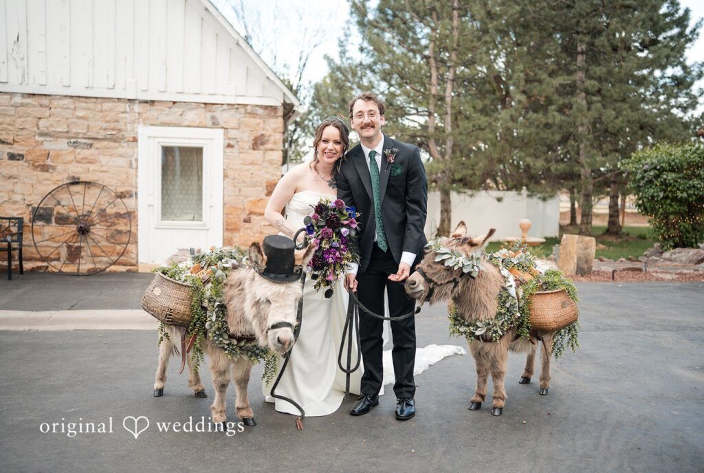 Hannah + Kyle Lovely picture of bride and groom with the animals captured by Denver wedding photographers from original weddings at Tapestry House