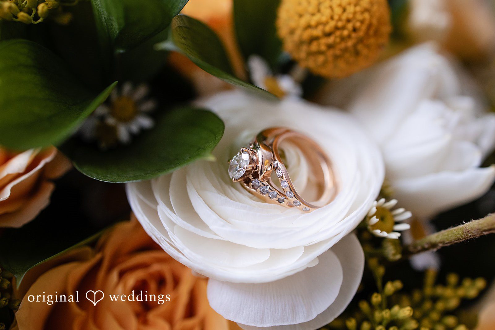 Alanna + Stan Romantic ring detail shot for wedding day